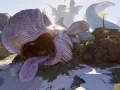Tiny Tina’s Wonderlands