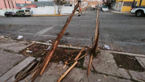 derribó dos postes de telefonía