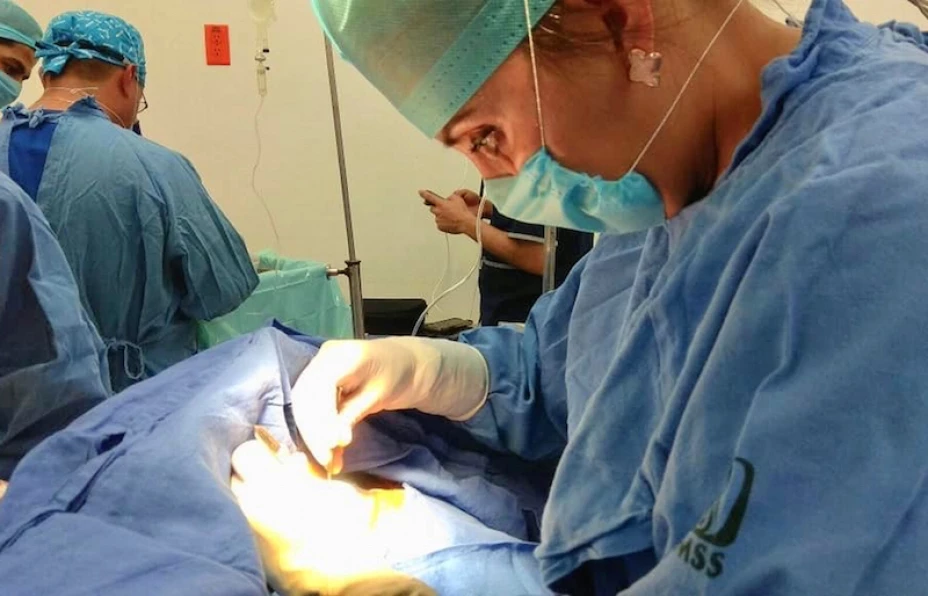 Donación de órganos