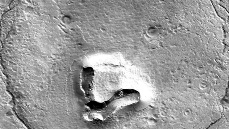 Encuentran un oso en Marte