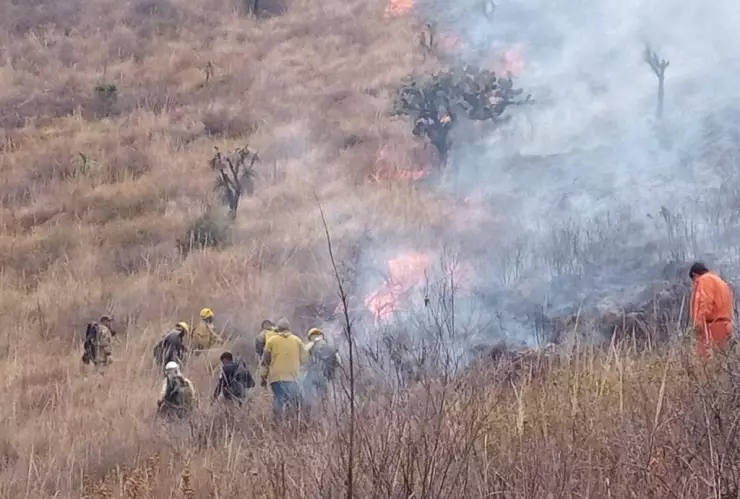 Fuera de control incendio en la Siierra de Guadalupe 2.jpg