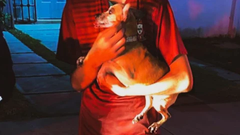 Rescatan a dos perritos de incendio en Sancho San Pedro, Querétaro