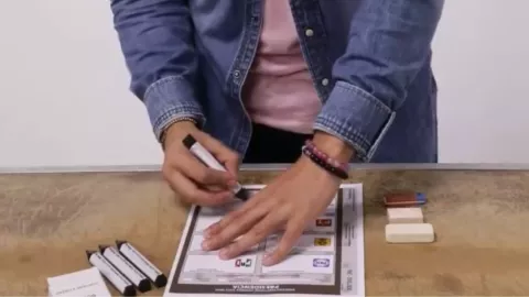 ¿Es necesario llevar una pluma para votar en elecciones 2024?