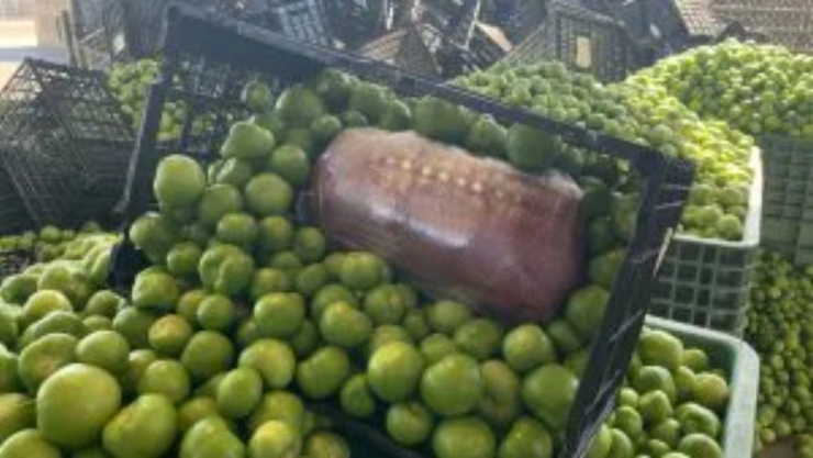 Carga de tomatillos con metanfetamina oculta en California