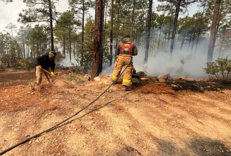 INCENDIOS MADERA.jpg