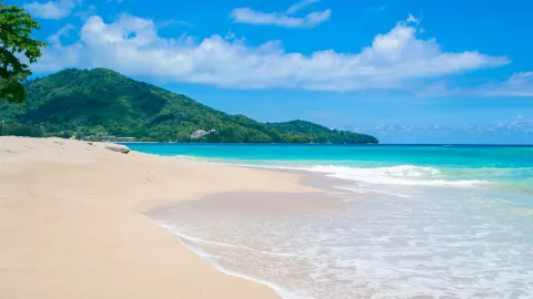 ¿Cuál sería la primera playa en México en desaparecer en unos años Esto dice la NASA