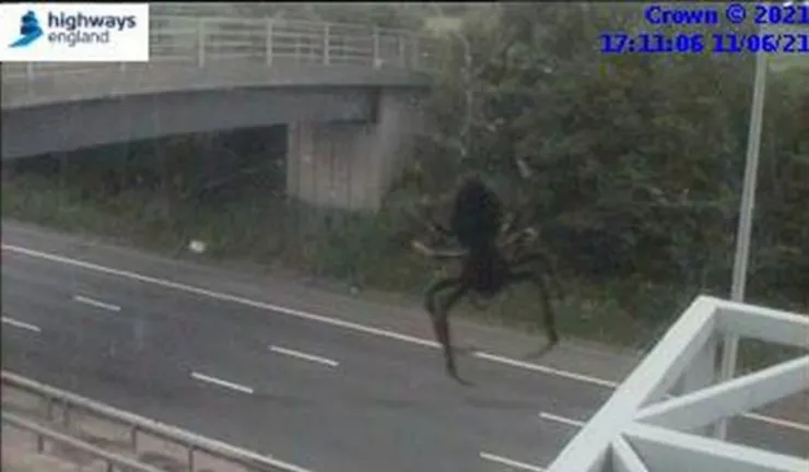 araña cámara de tráfico Reino Unido.jpg