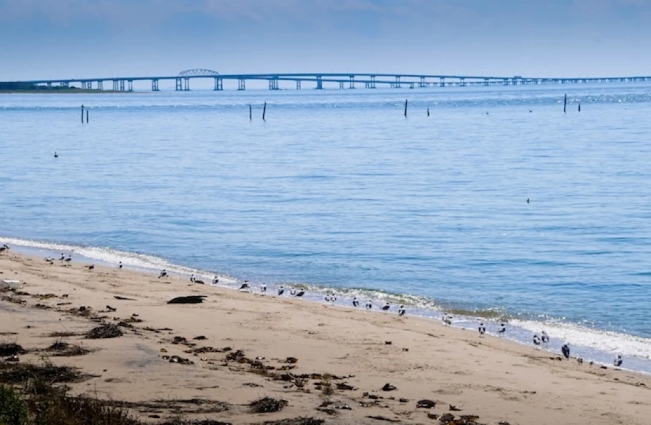 Científicos de Michigan y Luisiana, pronosticaron ‘zona muerta’ en la Bahía de Chesapeake, sino la azota una tormenta tropical pronto