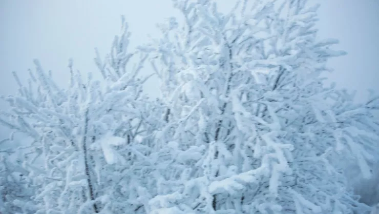 Pronóstico del clima para México del 28 de noviembre de 2024