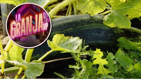 5 frutas y verduras fáciles de cultivar que podrías ver en el huerto de La Granja VIP.jpg
