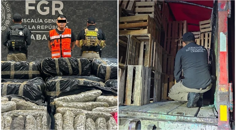 Descubren 1.2 toneladas de marihuana en huacales en camión de carga.