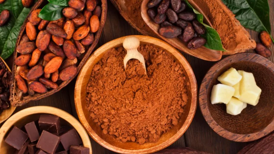 El cacao el regalo de México al mundo