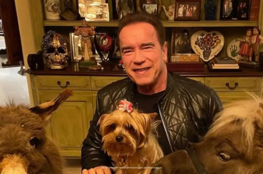 Arnold-Schwarzenegger-detective-en-el-kinder