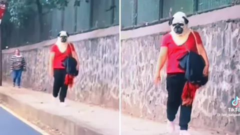 Mujer con cabeza de perro sorprende las redes sociales.jpg