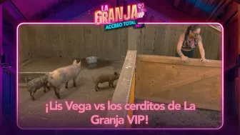 Lis Vega sufre con los puerquitos de La Granja VIP.
