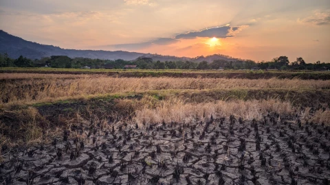 El Nuevo El Niño: El fenómeno oculto que podría transformar el clima