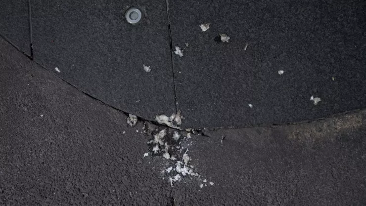 Lanzan huevos en procesión de pueblo de Xoco