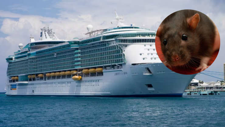 Buscan a una treintena de pasajeros que abandonaron crucero tras primera muerte por hantavirus