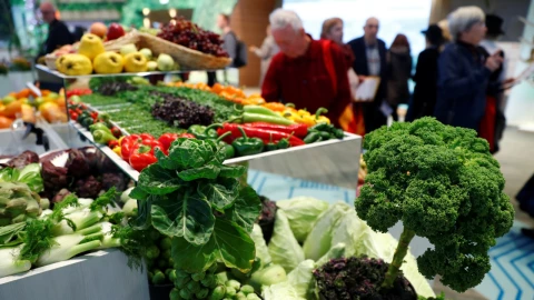 Los mejore alimentos para los adultos mayores 