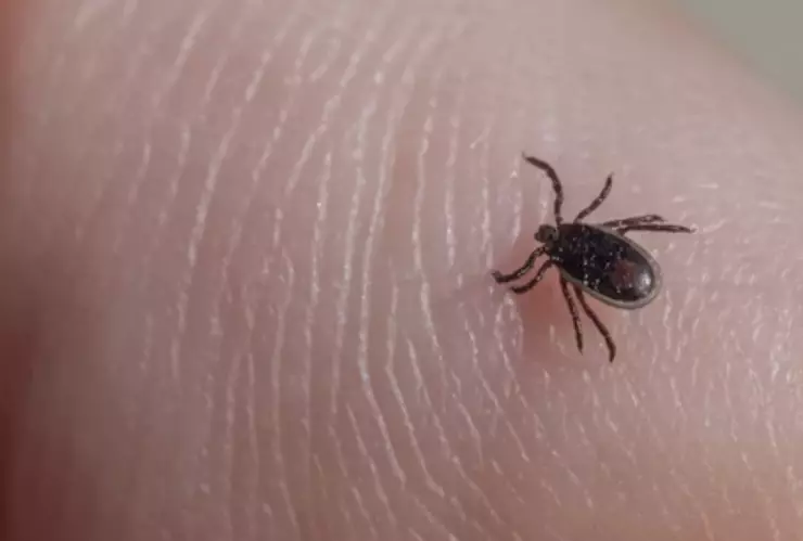 Portada - 2025-12-11T133023.792.png