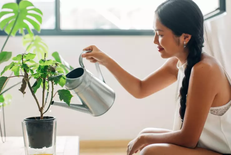 ¿Cómo regar tus plantas cuando sales de vacaciones?.jpg