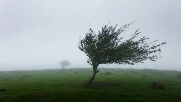 ¡Atento al pronóstico! Esto es lo que le espera al clima en Aguascalientes en agosto 2024