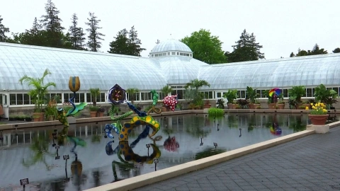 Exposición de Yayoi Kusama llega al Jardín Botánico de NY