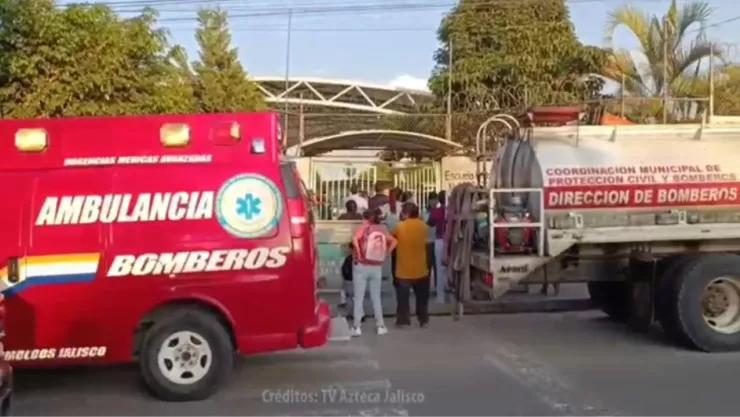 Cerca de 20 alumnos heridos por picaduras de abejas en escuela primaria en avenida Guadalupe