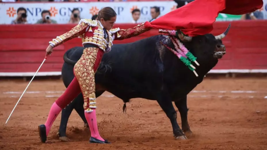 corridas de toros en CDMX.