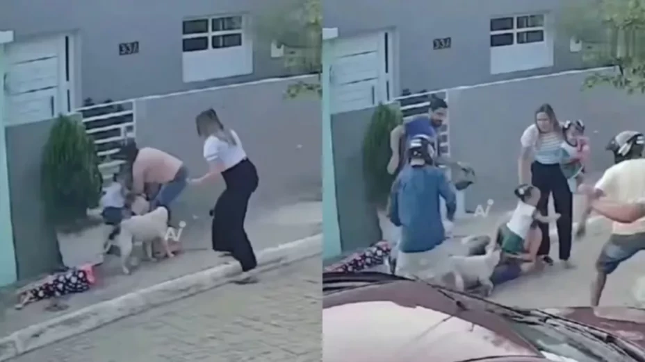 Perro pitbull ataca a dos niñas en prescencia de sus madres