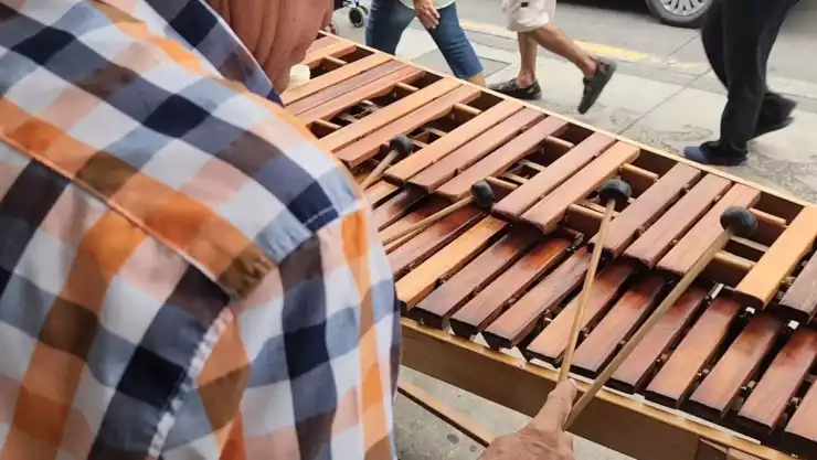 Marimba Chiapas precio