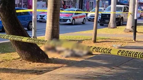 Paramédicos acudieron tras un reporte ciudadano en la zona