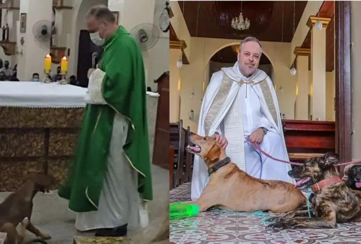 Sacerdote rocoge perros de la calle en Brasil.