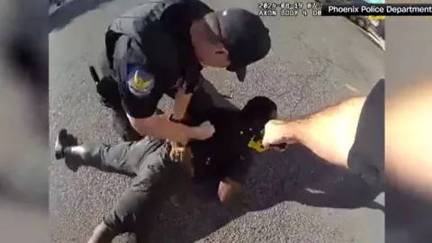 Tyron McAlpin, video de arresto