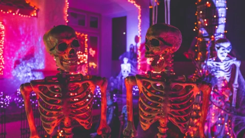 fiesta de halloween en tijuana