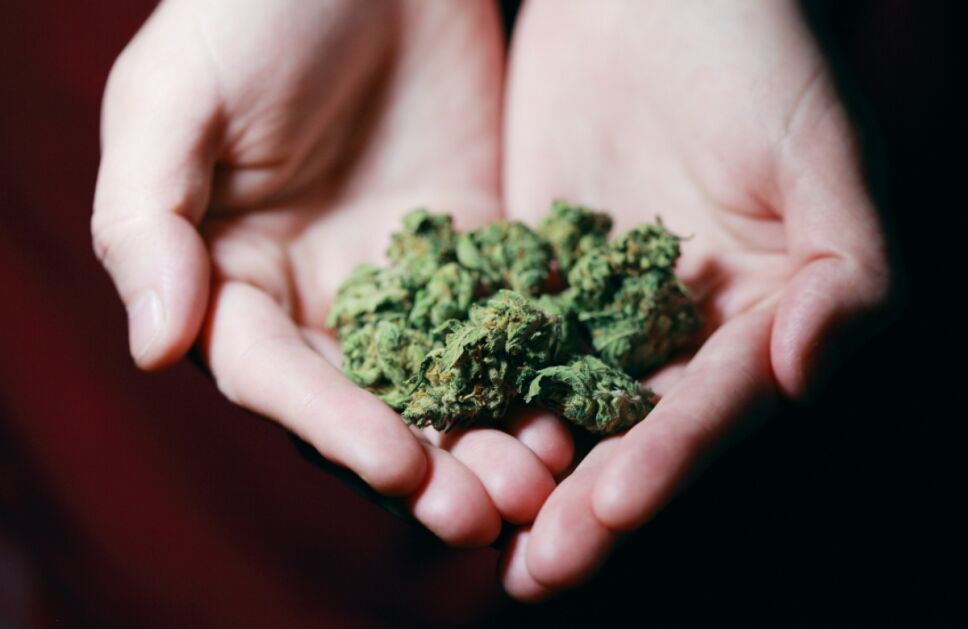 Uber Canadá cannabis