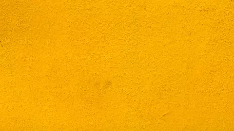 El amarillo mostaza ilumina las pieles apiñonadas