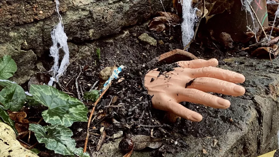 joven vivió con cadáveres asesino del necaxa.jpg