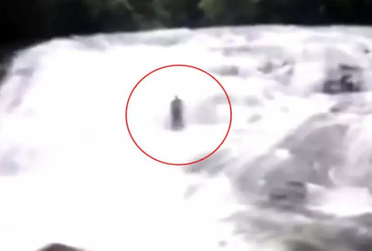 figura cascada selva amazónica brasil