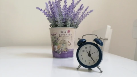Lavanda en habitación