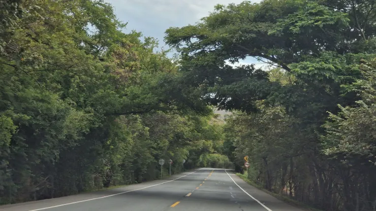 EN VIVO | Estatus del tráfico en la autopista Guadalajara-Puerto Vallarta hoy 6 de agosto de 2026