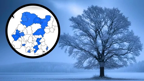 día más frío en Guanajuato enero 2026