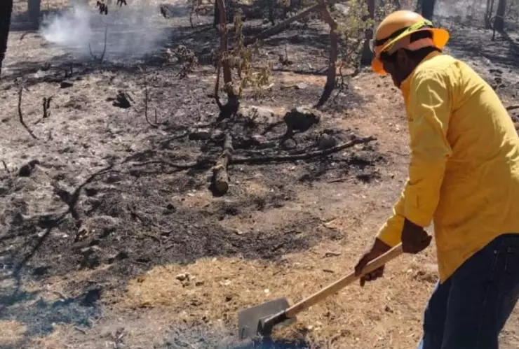 Incendios forestales en Chihuahua