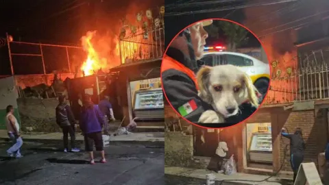 Incendio en Iztapalapa: Rescatan a 10 perros y desalojan a 50 personas en San Juan Xalpa