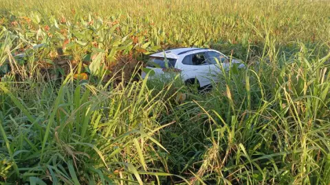 Accidente en carretera de Las Matas, Veracruz.jpg