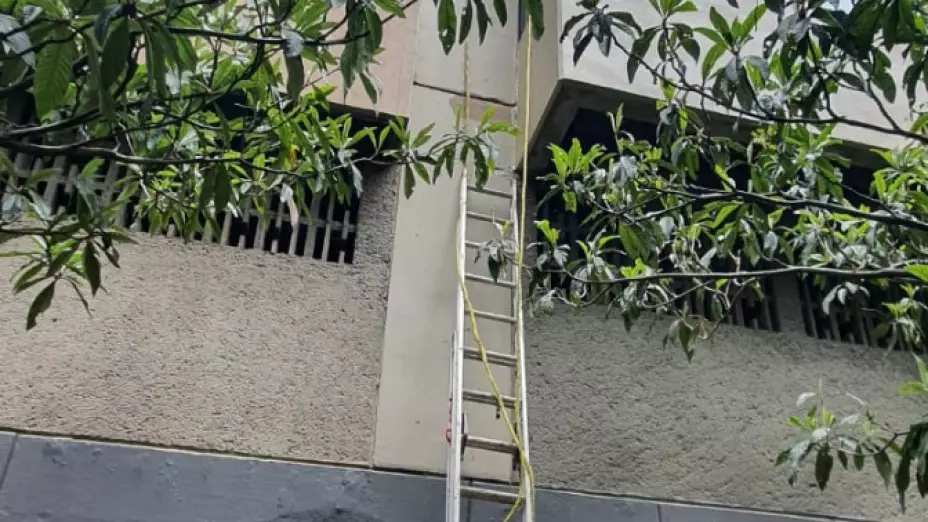 Edificio 12 pisos