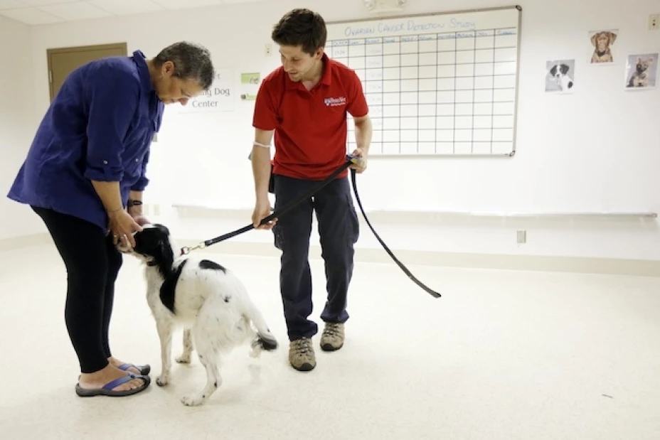 Una paciente de cáncer ovárico conoce a “McBain”, perro que está en entrenamiento para detectar tejidos cancerosos en un centro veterinario en Filadelfia