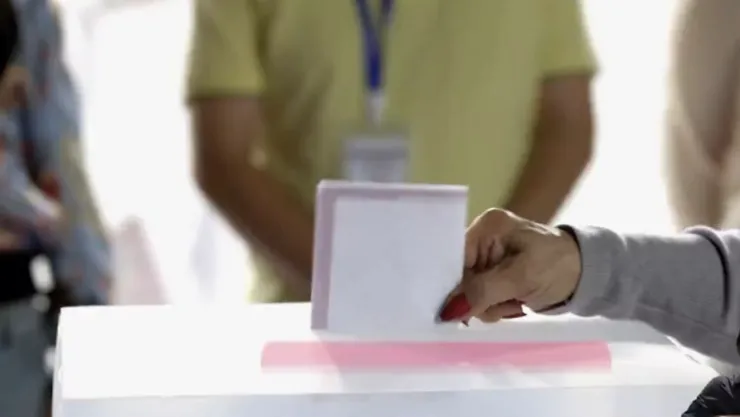observador electoral Morena.