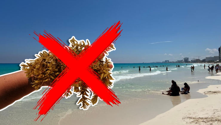 Lista de playas sin sargazo en Quintana Roo HOY 26 de septiembre de 2025_ De Holbox, Cancún, Tulum a XcalakLista de playas sin sargazo en Quintana Roo HOY 26 de septiembre de 2025_ De Holbox, Cancún, Tulum a Xcalak.jpg