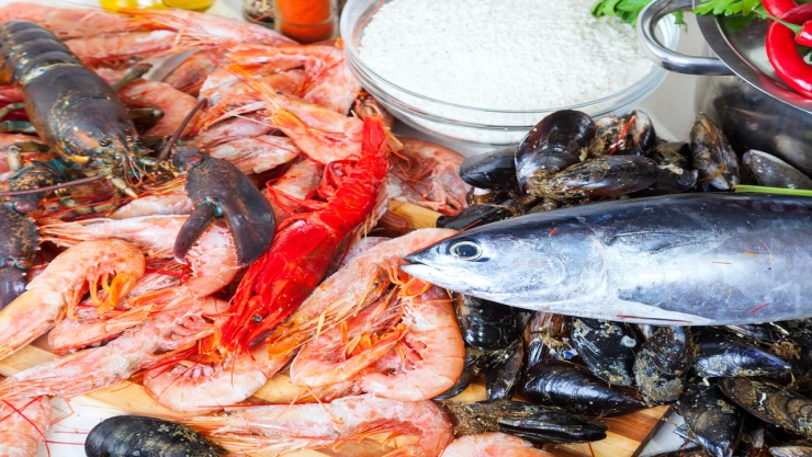 Mariscos tóxicos para consumo humano a evitar esta cuaresma